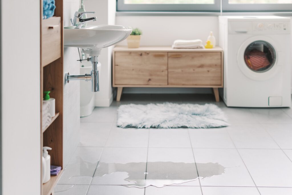 Hidden Water Leaks