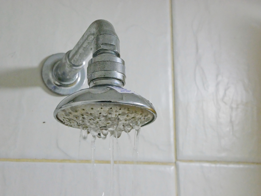 Plumber inspecting a showerhead to fix low water pressure in a residential bathroom