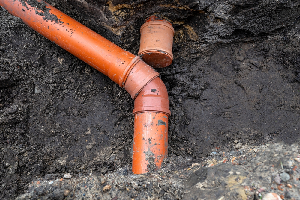 Professional plumber inspecting an underground sewer line after landscaping changes in a residential yard
